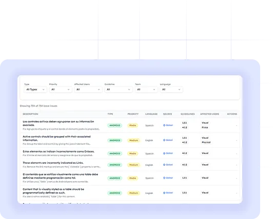 Professional accessibility audit report