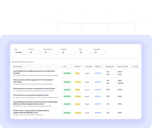 Professional accessibility audit report